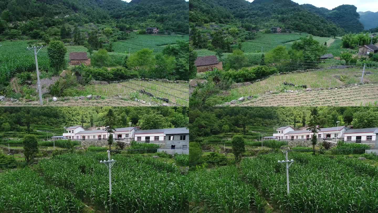 山村电线杆航拍