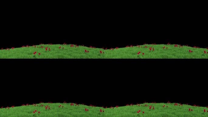 一片草地花朵生长随风飘动1