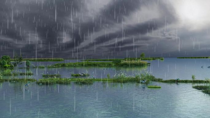 湿地湖泊雨景三维