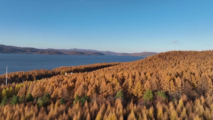 航拍牡丹江镜泊湖景区纯净天空湖面红叶森林