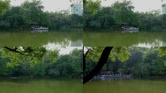 4K实拍，广州天河公园祥和的一角飞鸟掠过