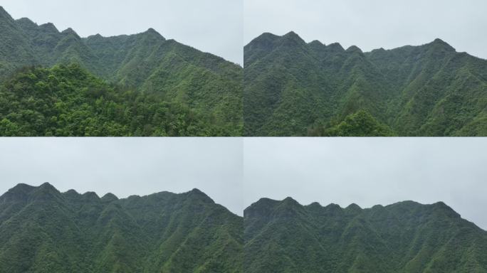 五峰县葱绿的山峰4K航拍