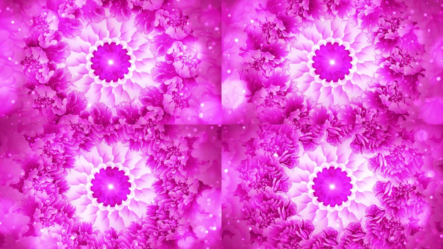 粉色花朵旋转粉色花开背景无缝循环