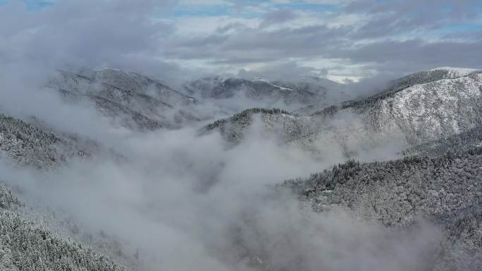 【4K】雪山森林航拍