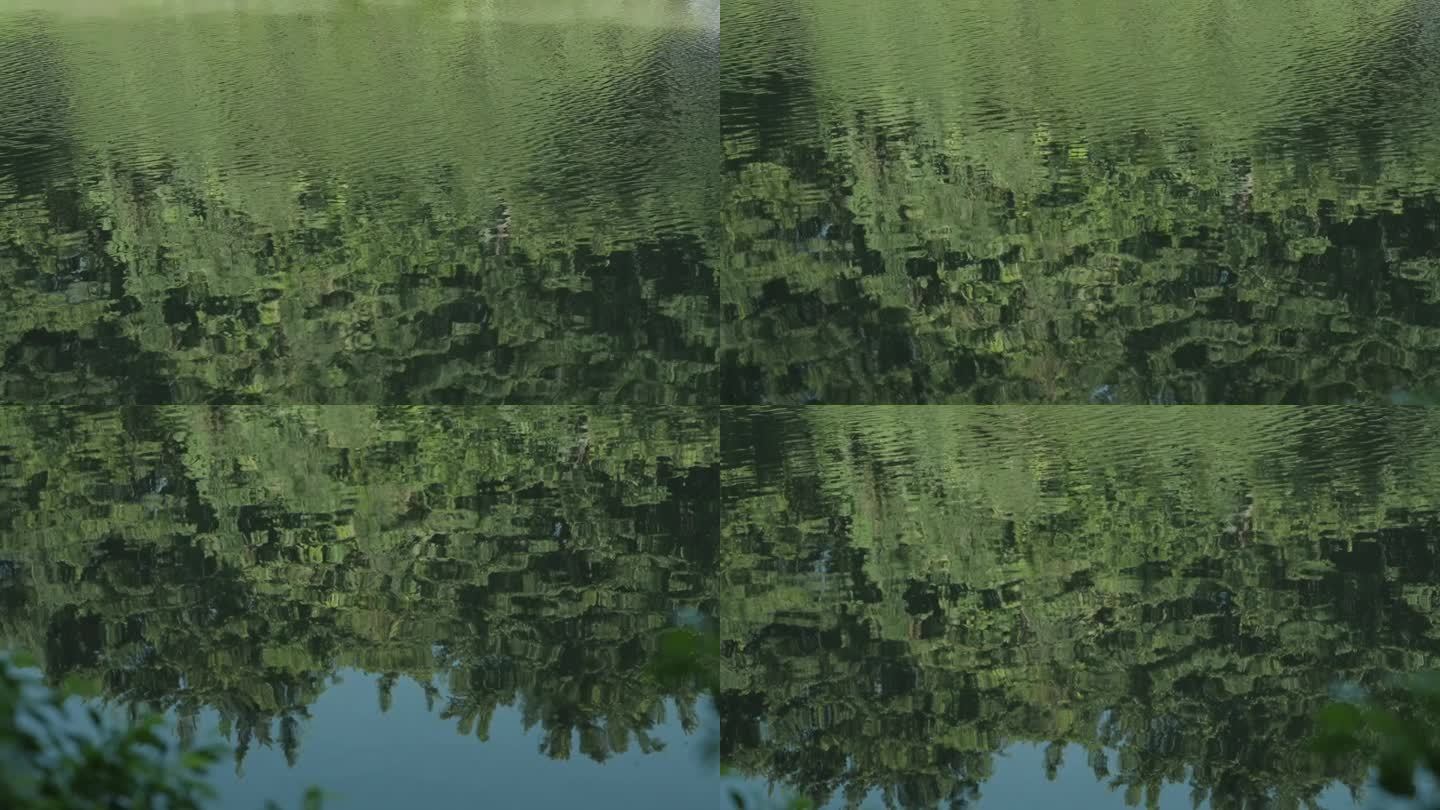 水中树木倒影和水中的球孤独感空镜森林湖水