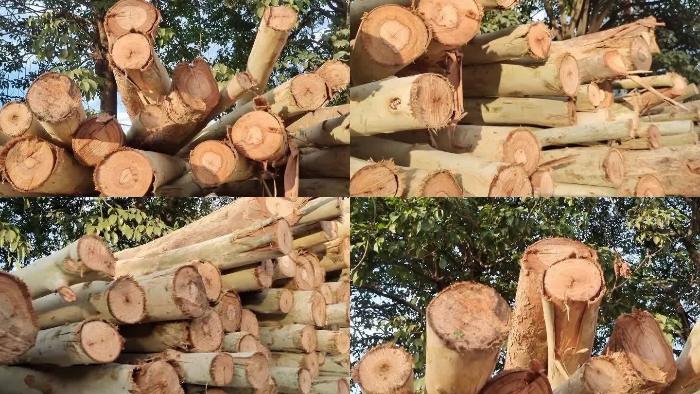 按树木材速丰按树 树木 家具板材原料木材