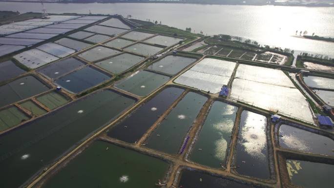 珠三角渔业水产养殖业新型养殖业特色水产