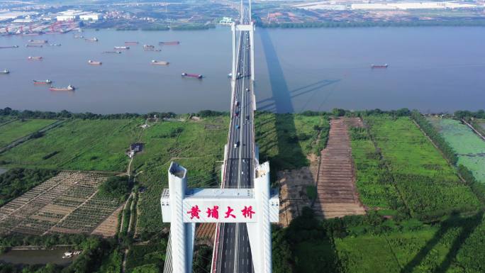 广州黄埔大桥航拍