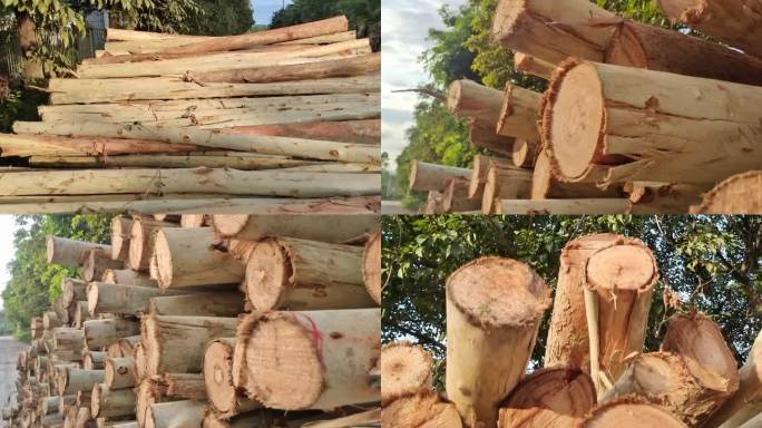 速丰按树树木家具板材原料木材阳光下的木材