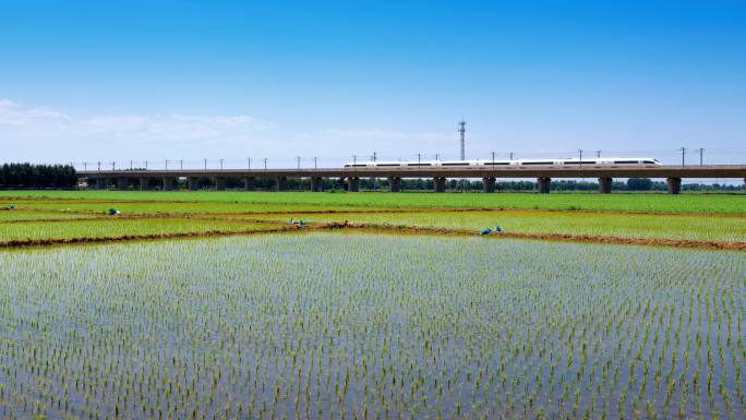 高铁 中国速度 动车 田野