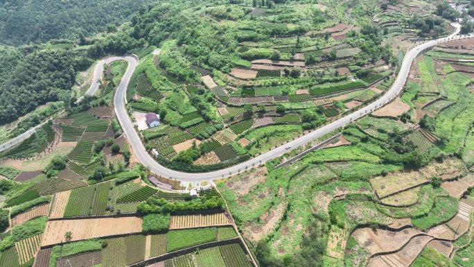 航拍浙江山区七彩大地高山茶园茶叶道路交通