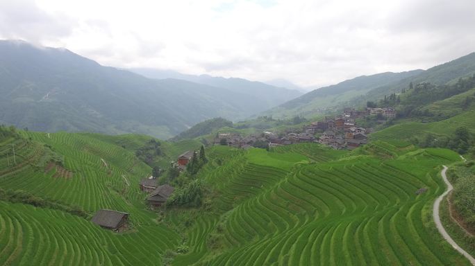 航拍春天广西桂林龙胜梯田少数民族村落