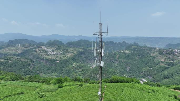 航拍浙江高山茶园山区电信移动信号塔网络