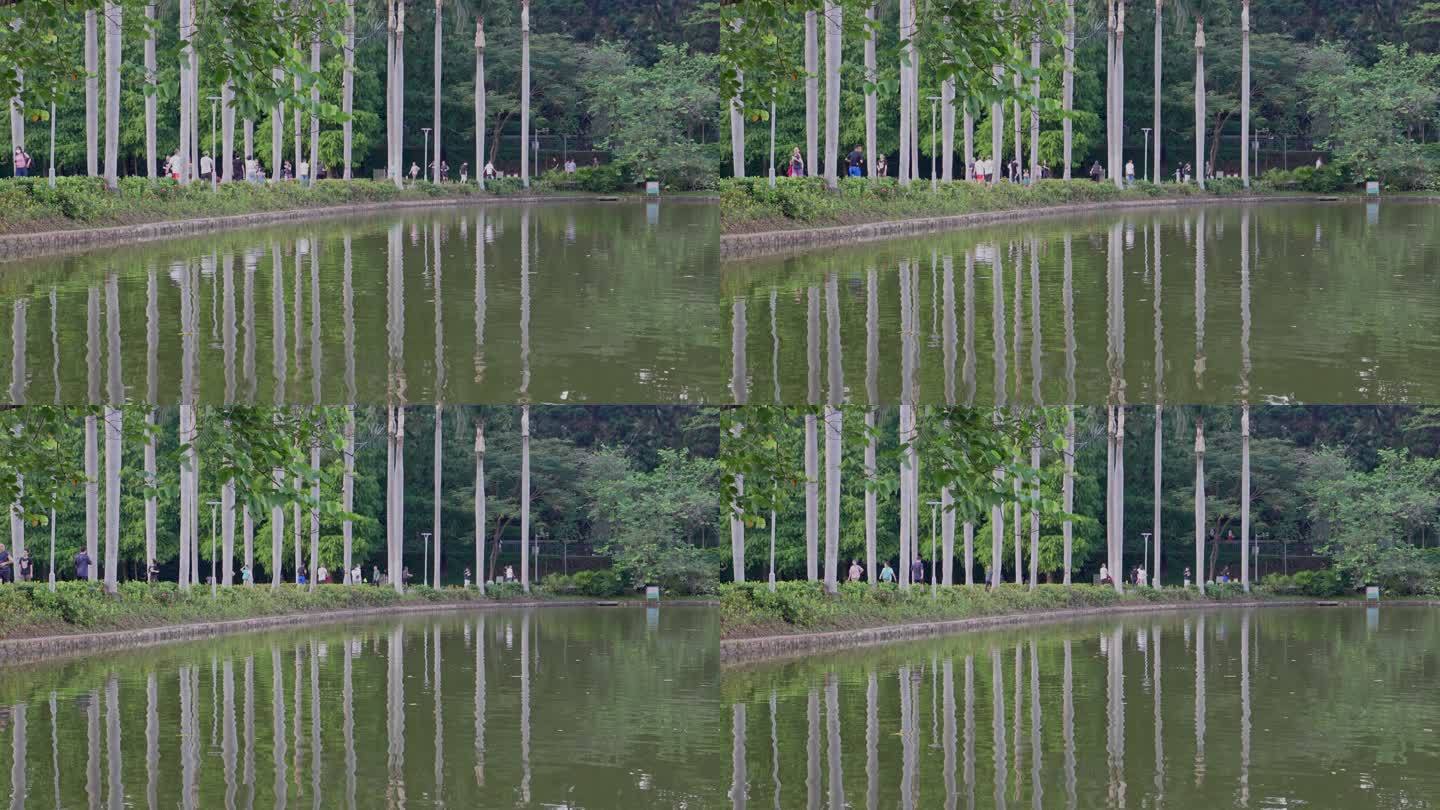 4K实拍广州天河公园游人、树林与湖水倒影