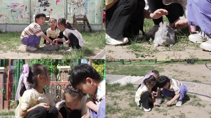 幼儿园孩子和小兔子玩耍