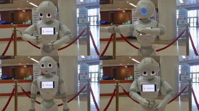 机器人 人工智能 智能机器人 服务机器人