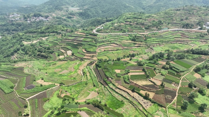 航拍浙江山区七彩大地高山茶叶茶园道路交通