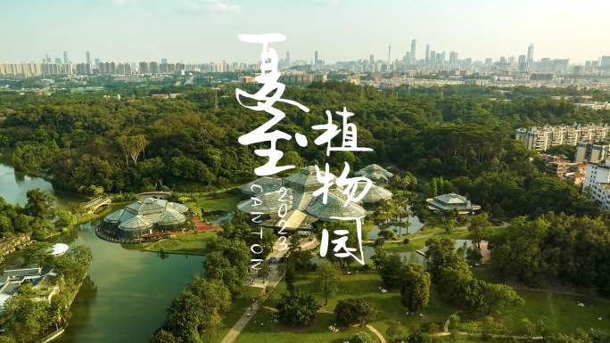广州华南植物园夏日阳光航拍延时4K视频
