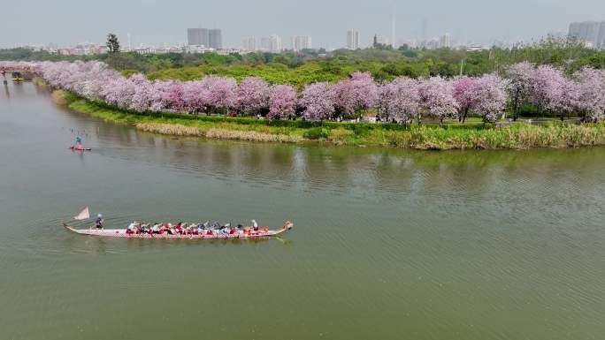 一支龙舟在广州海珠湿地公园的河涌上训练