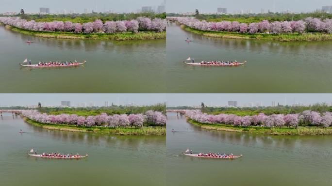 一支龙舟在广州海珠湿地公园的河涌上训练