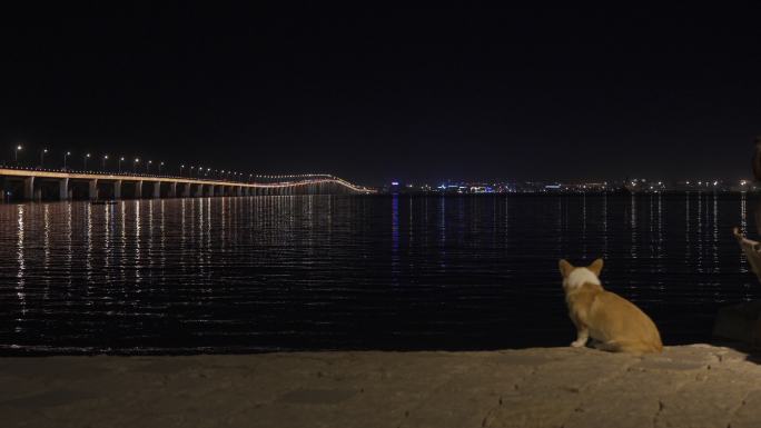 厦门海上夜景