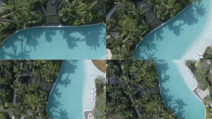 航拍热带椰子林无人的泳池清爽夏日阳光投影