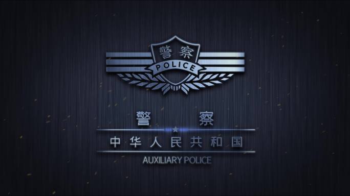 4K金属logo高清警察辅警桌面壁纸