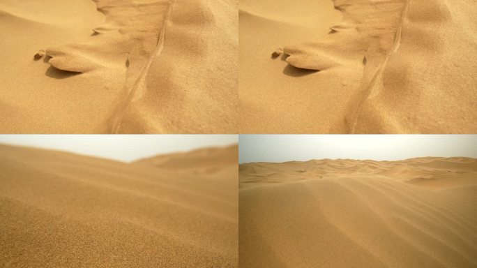 风吹黄沙 风吹沙漠 风吹沙子 黄沙