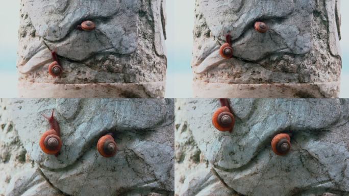 雕刻石栏上爬行的两只蜗牛