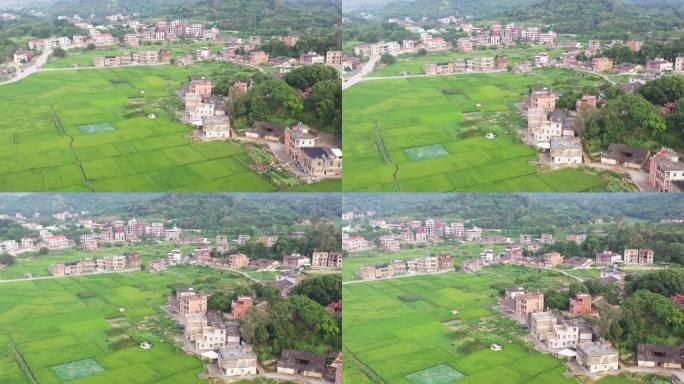 泉州南安金淘田园风光