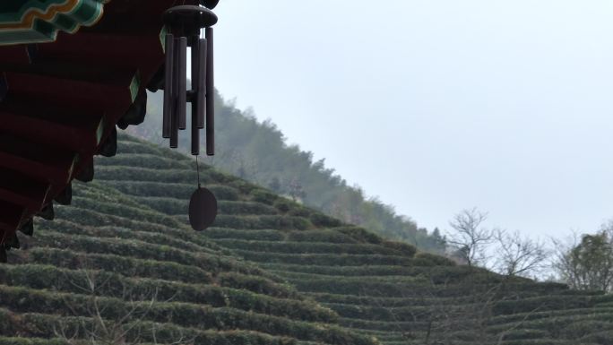 浙江茶山茶园寺庙屋檐铃铛风铃风吹安静幽静