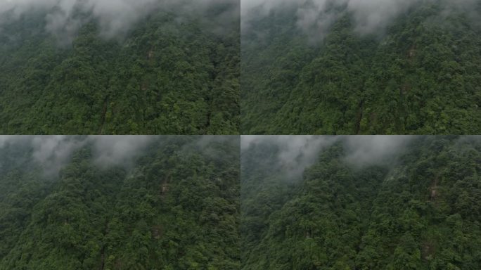 四川邛崃天台山航拍高山云雾风景