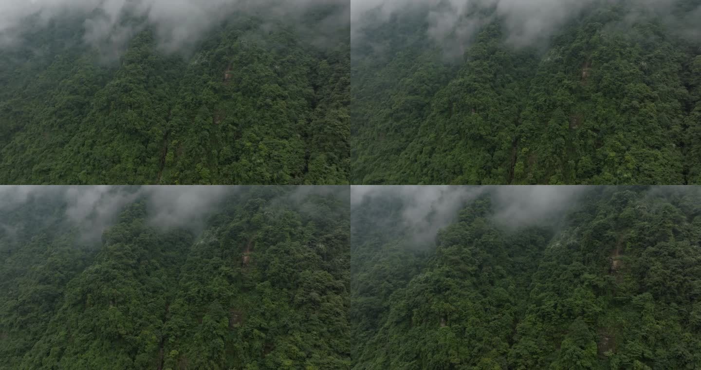四川邛崃天台山航拍高山云雾风景