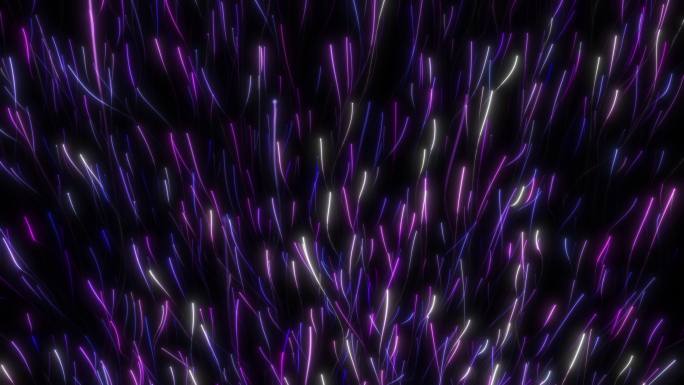 紫色粒子群游动