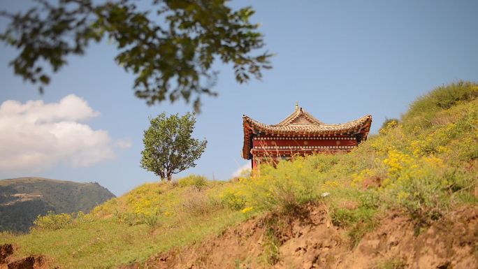 蓝天白云寺院野花草