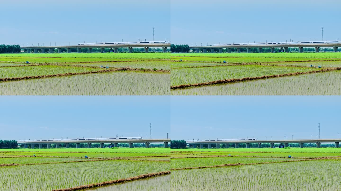 高铁 中国速度 动车 稻田