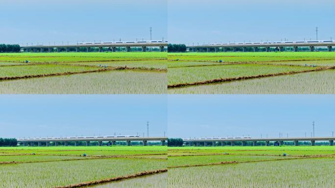 高铁 中国速度 动车 稻田