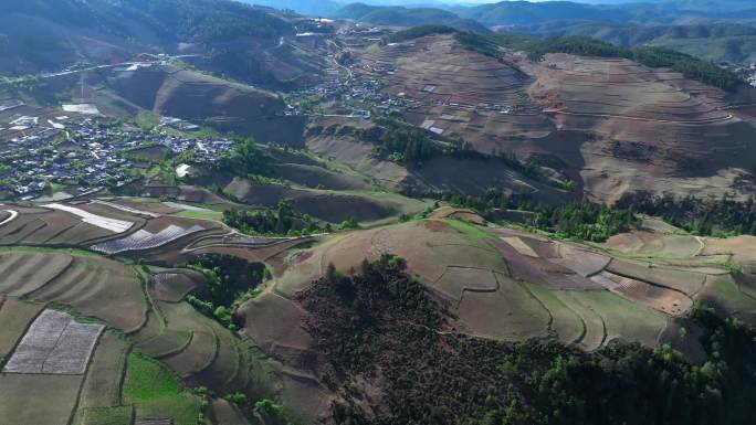 大山山区高原梯田稻田