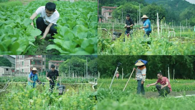 4k小武器拍摄大学生种地