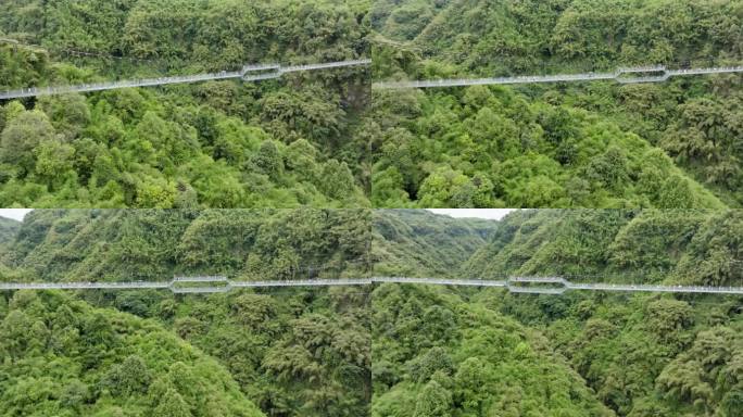 航拍邛崃川西竹海峡谷美丽风景玻璃吊桥