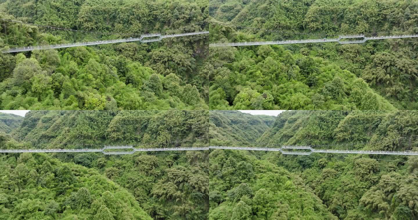 航拍邛崃川西竹海峡谷美丽风景玻璃吊桥