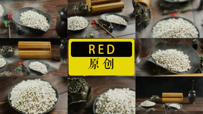 薏米薏米仁食材中药材