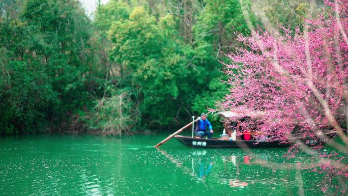 杭州西溪湿地曲水寻梅