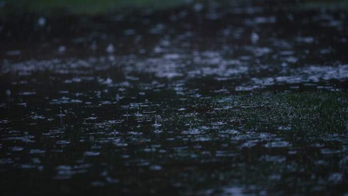 狂风暴雨变天大雨大风雨季极端天气刮风下雨