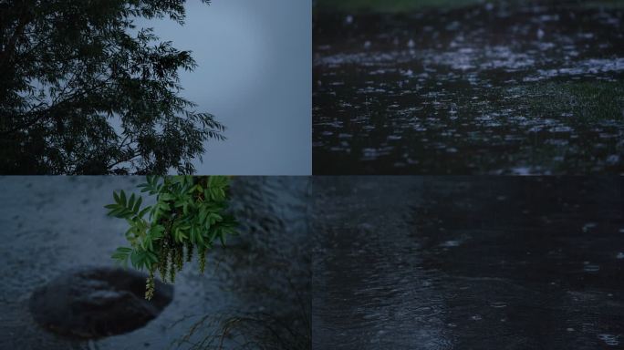 狂风暴雨变天大雨大风雨季极端天气刮风下雨