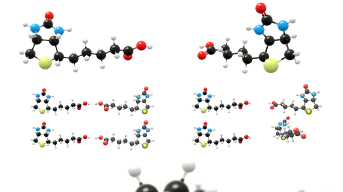 维生素B7分子动画