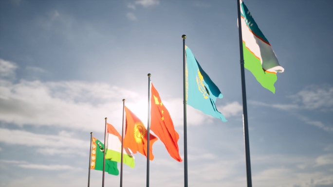 中亚峰会中亚五国旗帜