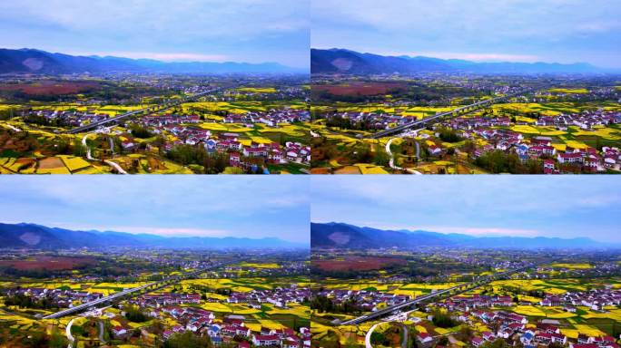 高铁从花海中穿过 4k