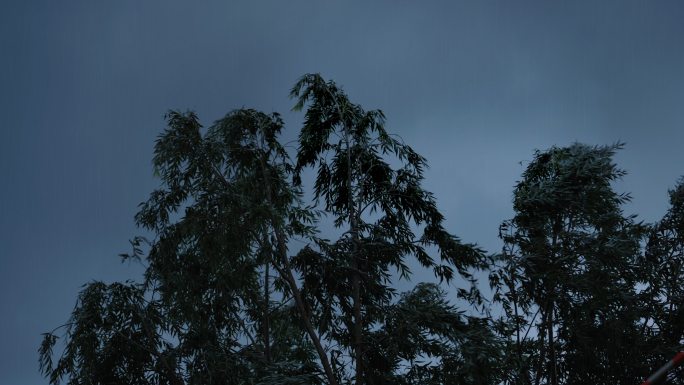 狂风暴雨变天雨水雨滴下雨大风暴风雨刮风