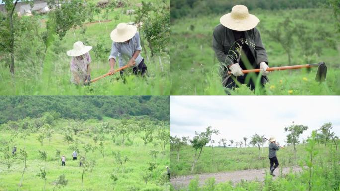 农民劳作、农民劳作耕地、锄地、开荒地